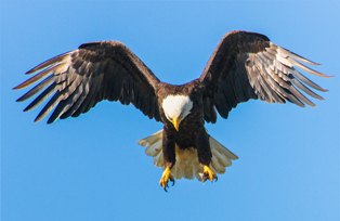 air richard lee 512551 unsplash