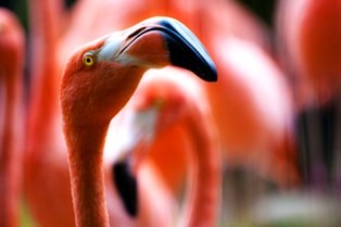 attitude2 joe wroten 847 unsplash