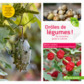 droles de legumes2